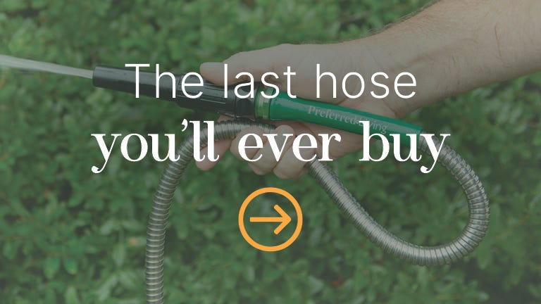 green 100' Stainless Steel Garden Hose in use in yard