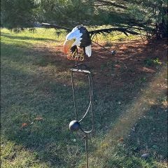Eagle Wind Rocker 