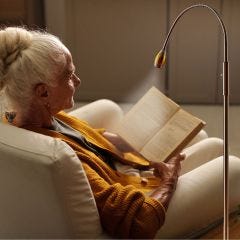 Adjustable Beam Natural Light Lamp