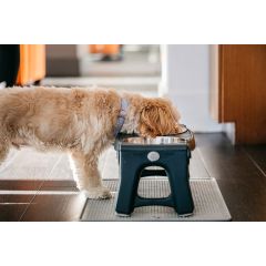 Adjustable Pet Feeder