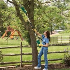 model using pole saw to cut tree branches 