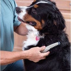 Pet Grooming Comb