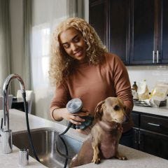 PawSpa ShampoochPro