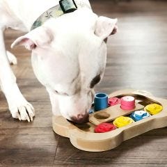 Interactive Pet Toy