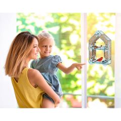 Window Mounted Bird Feeder