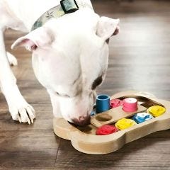 Interactive Pet Toys (Set of 3) 