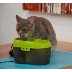Healthy Cat Water Fountain Bowl  