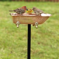 Splish Splash Bird Bath
