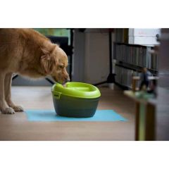 Healthy Dog Water Fountain Bowl