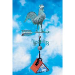 Rooster
