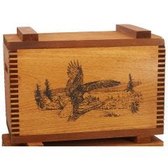 American Eagle Accessory Box 