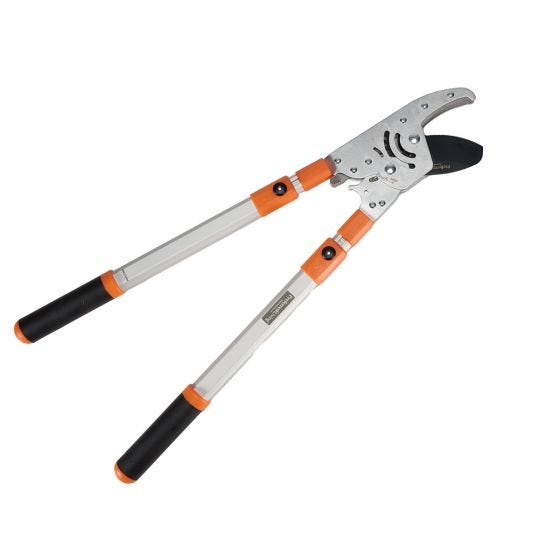 Telescopic Anvil Loppers on white