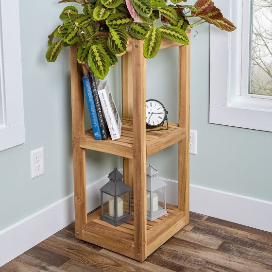 large dracaena Large Dracaena Tarzan