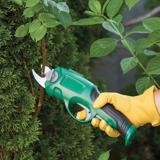 power pruner cutting branches power pruner cutting branches