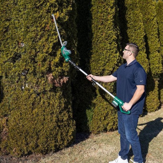 model using the trimmer on tall hedges 