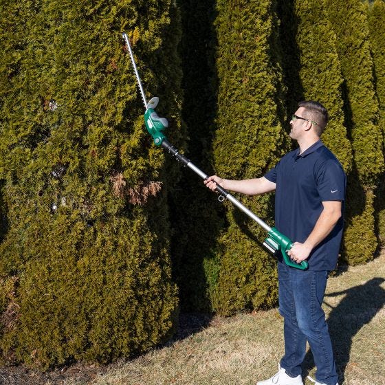 model using the trimmer on tall hedges model using the trimmer on tall hedges
