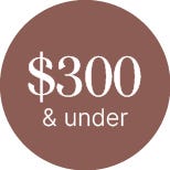 $300 and Under category ornament