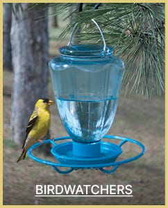 Birdwatchers