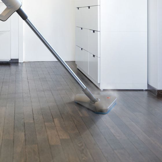 2in1 Steam Mop