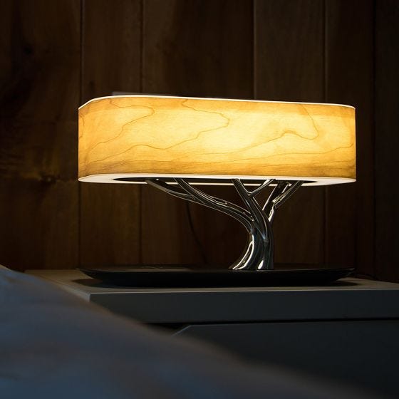 Bonsai Light of Tree Lamp