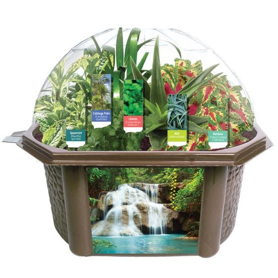 BioDome Terrarium